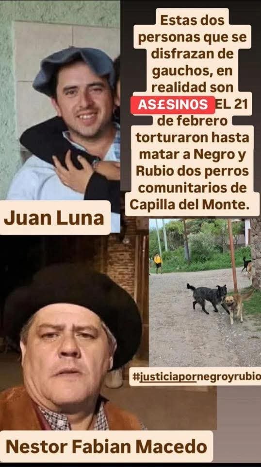 La mama del pocho campeón del mundo 🐶 tweet media