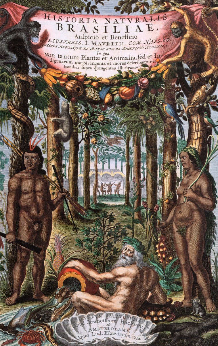 thehemisphere20's tweet photo. Brazilian history 101🇧🇷: During the Dutch occupation of the brazilian northeast (1624-1661), the governor of the province Johan Maurits brought many European vanguards, with objective of registering the many beauty's of the brazilian northeast... https://t.co/AnlsHgqEqV