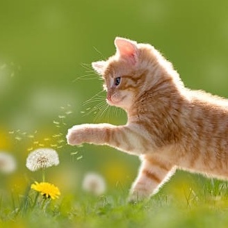 위라했던 날이구나! 이날 태현이 완전 치즈냥🐈