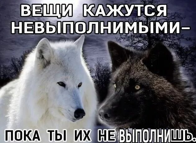 Чтобы не выгорать tweet media