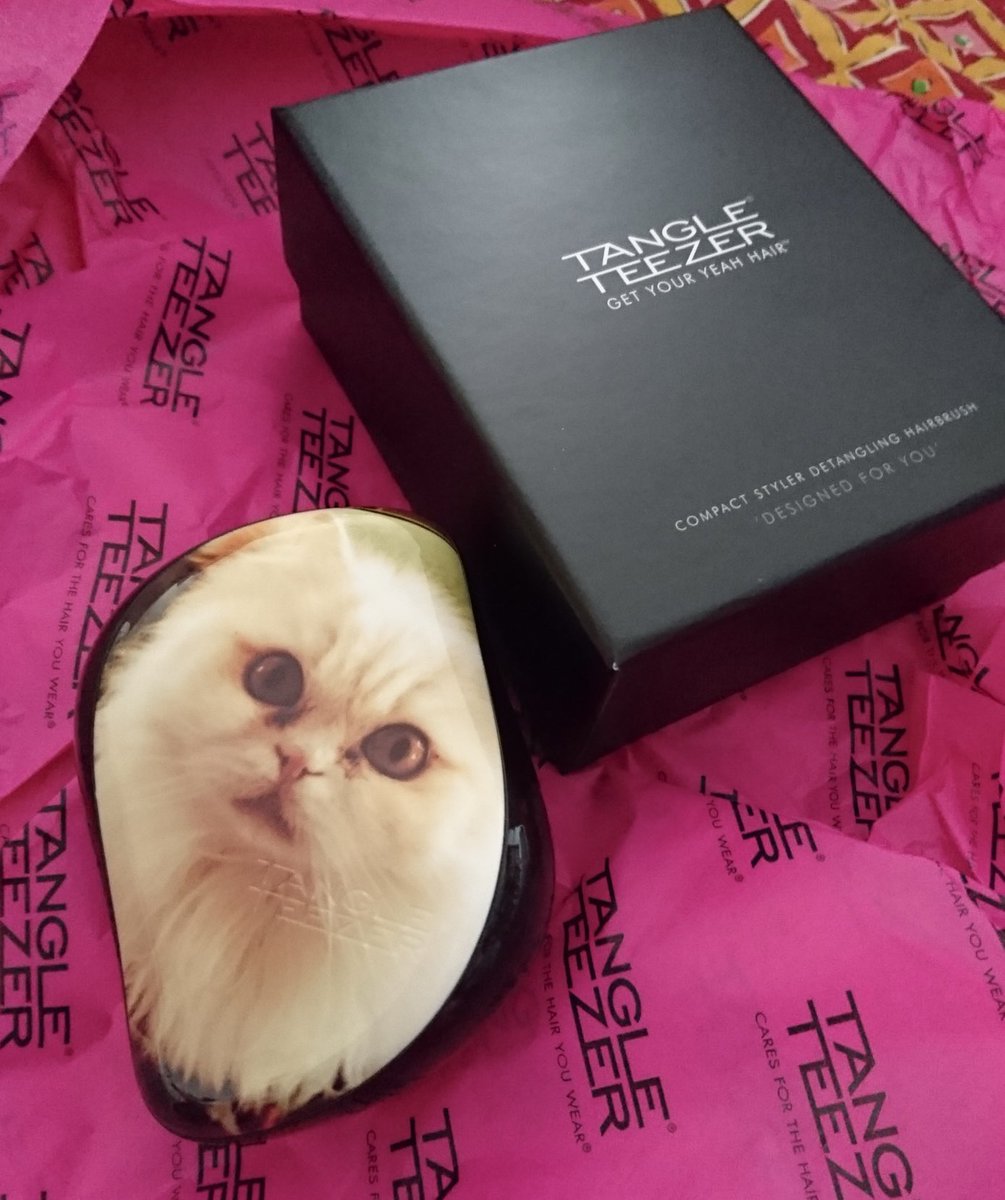 前にオーダーしたTANGLE TEEZER。写真撮ったのは遊びに来てた友達のフォトグラファー。
末っ子猫可愛い🩷