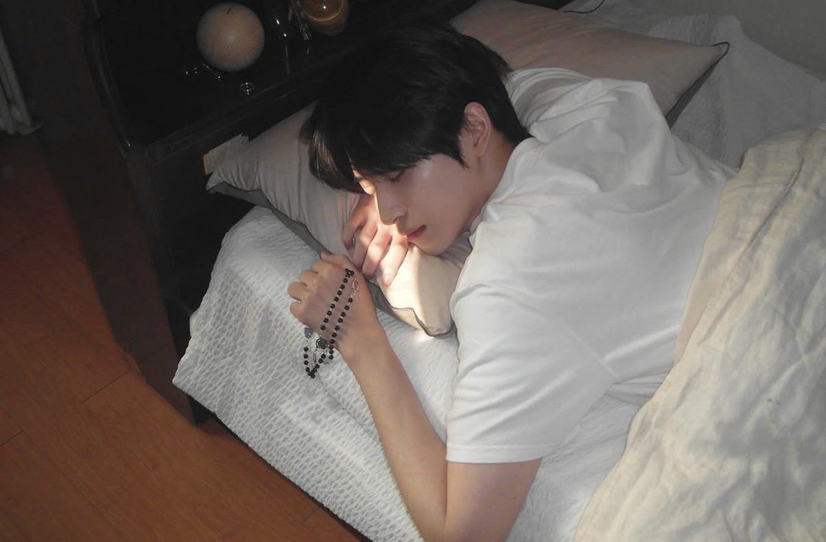 둘기 tweet media