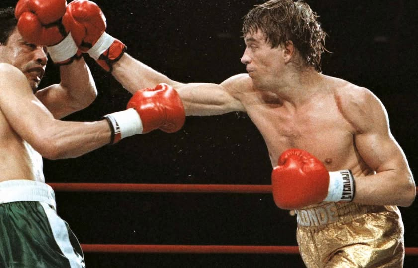 20th Century Boxing: Icons, Memories & More tweet media