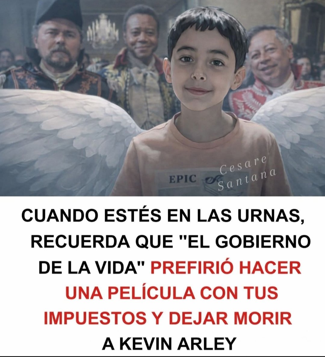 ivan p. tweet media