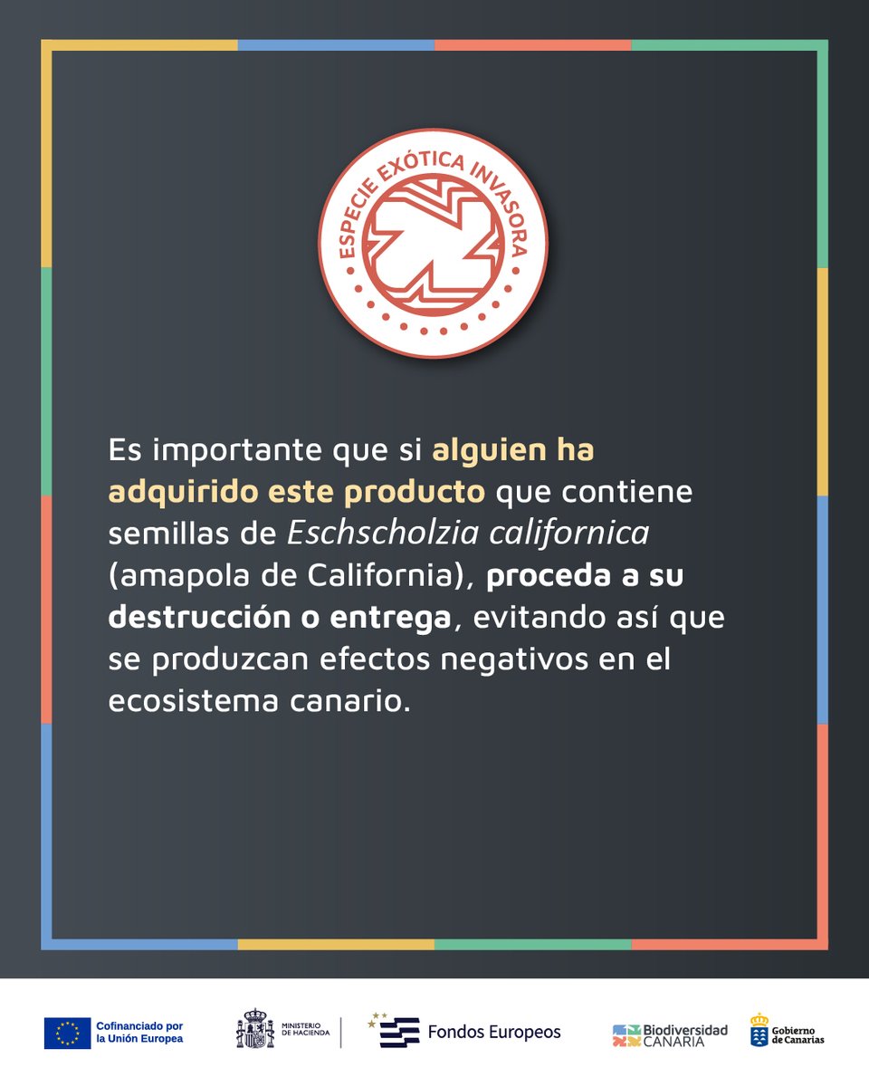Biodiv_GobCan's tweet photo. 🚫🌱 La detección de “bombas de semilla” con especies vegetales prohibidas en Canarias vuelve a recordar la importancia de extremar la prevención frente a las especies exóticas invasoras, una de las principales amenazas para la biodiversidad del archipiélago. 🧵⬇️ https://t.co/AL3vqkr6yO