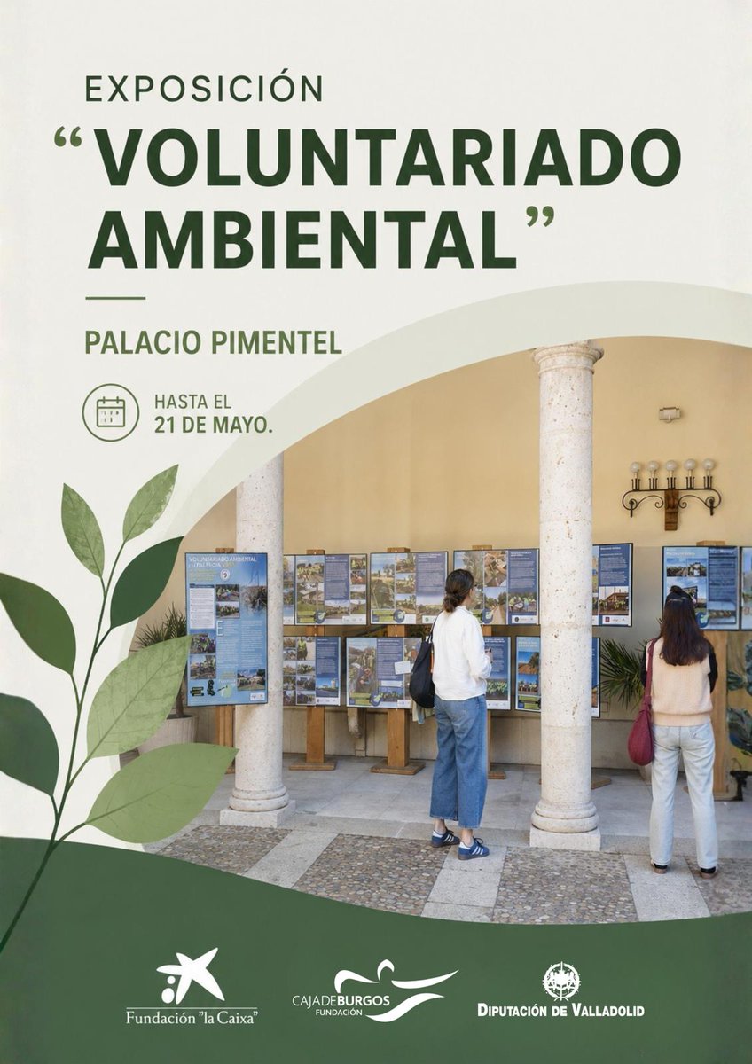 Dip_Va's tweet photo. 📍 El claustro del Palacio de Pimentel acoge hasta el 21 de mayo una exposición dedicada al voluntariado ambiental.

Inaugura el diputado @FernandoCogeces.

🌳Una muestra impulsada por Fundación Caja de Burgos y Fundación ”la Caixa”, con la colaboración con la Diputación de Valladolid.

🔗https://t.co/E7P0wVuL01