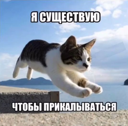 Чтобы не выгорать tweet media