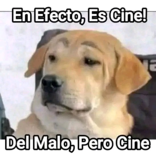 El perro mugroso 😅😅 tweet media