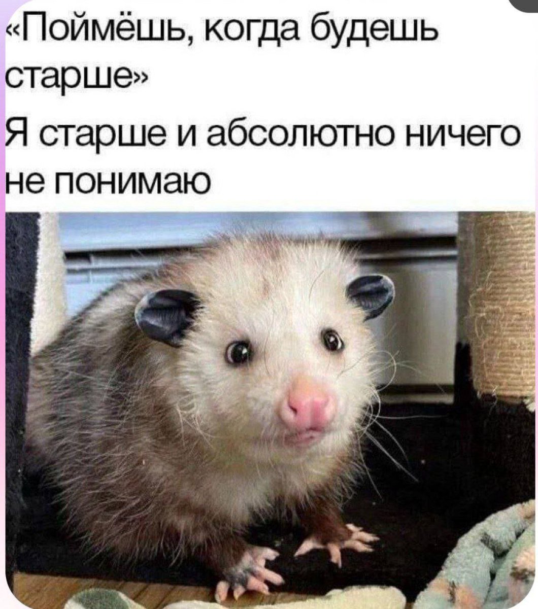 Чтобы не выгорать tweet media