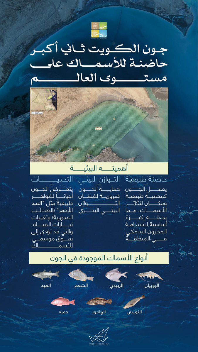 ASK KUWAIT tweet media