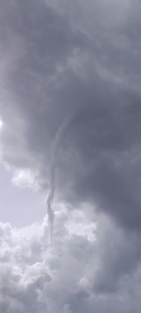 Meteoavila2's tweet photo. ⚠️ Hemos cazado está tuba en Arroyo de la Encomienda (#Valladolid). @AEMET_SINOBAS @AEMET_Esp @gdvictorm https://t.co/gqnQ6gtfij