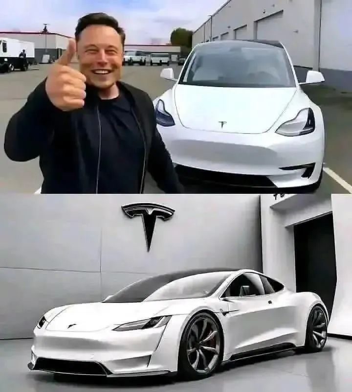 ElonScenario✨ tweet media