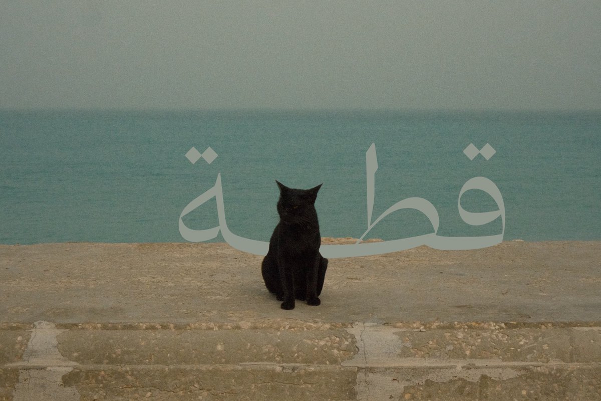 ٰ (@vxcnra) on Twitter photo 