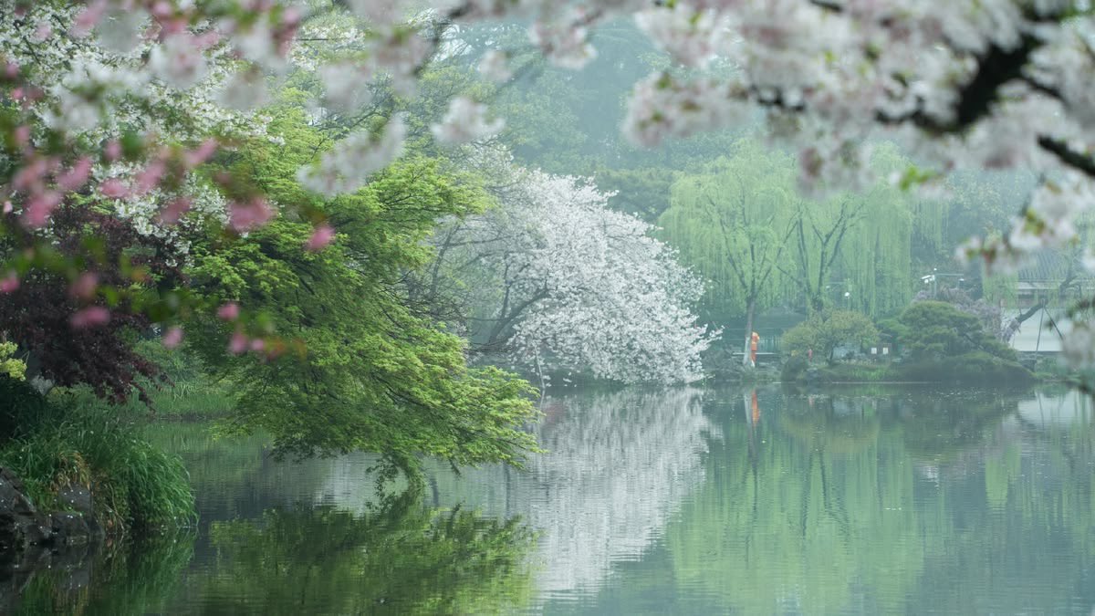 °❀.ೃ࿔* tweet media