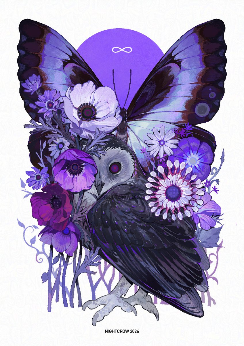 Nightcrow tweet media