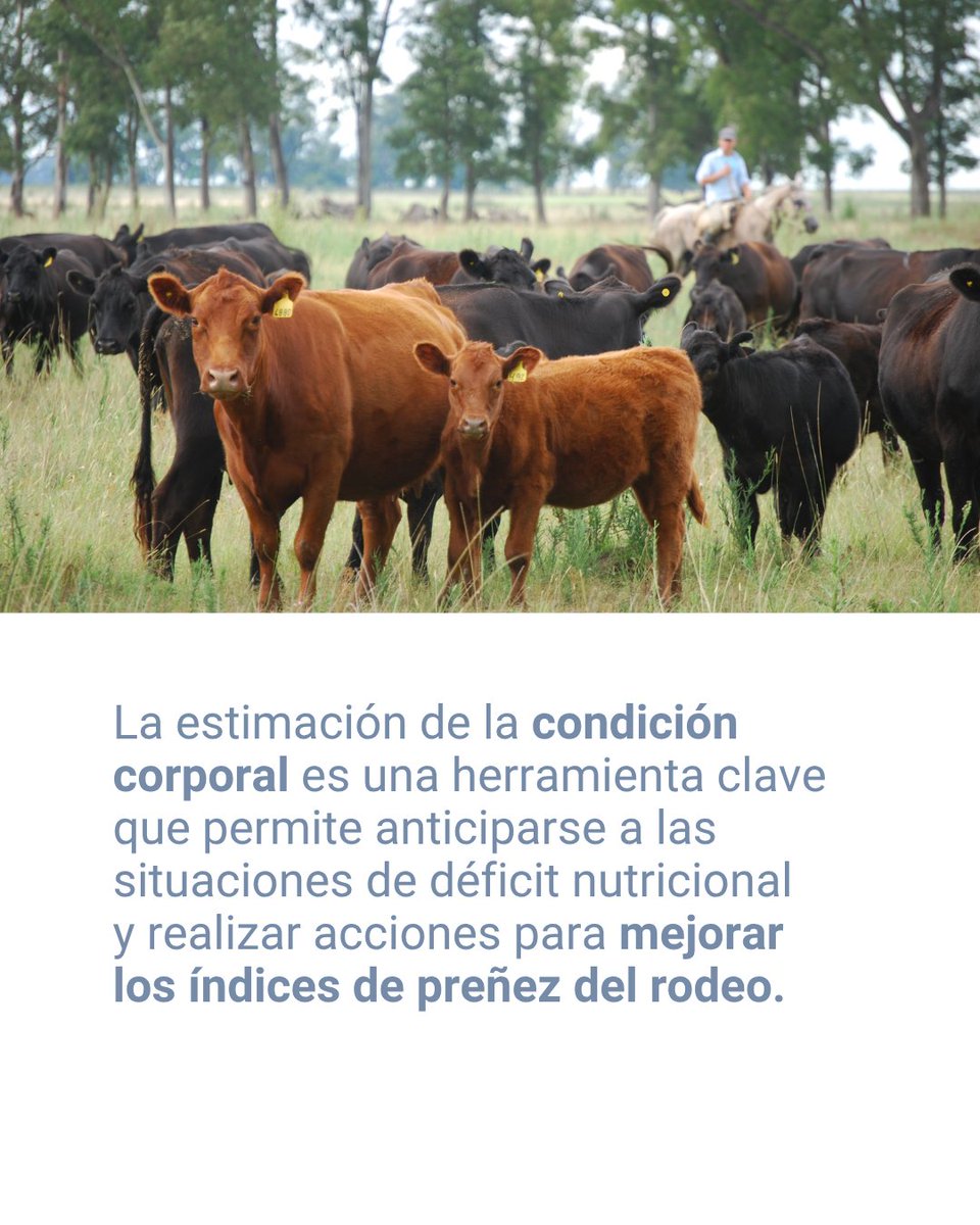 INTA Cuenca del Salado tweet media