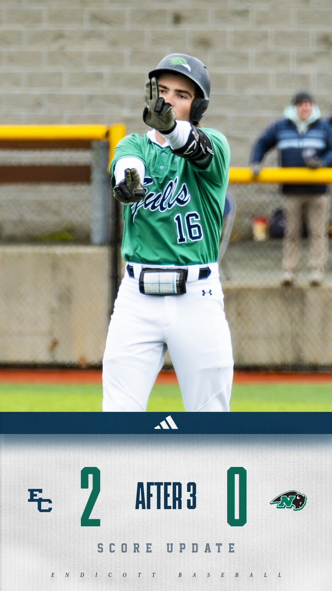 Endicott Baseball tweet media