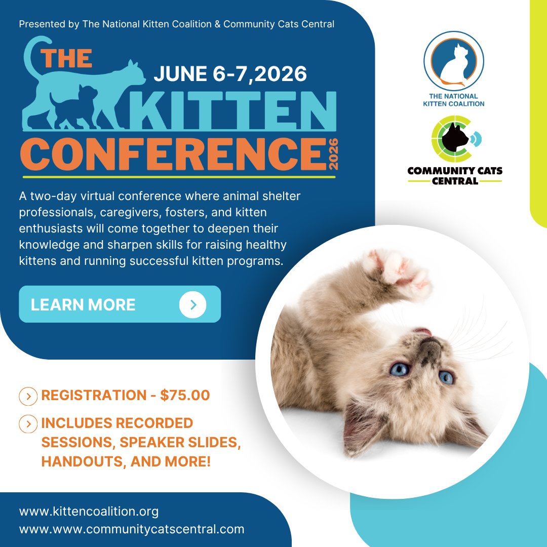 NationalKitten's tweet photo. The Kitten Conference | June 6–7, 2026 - A virtual two-day event for anyone ready to create a better future for kittens. Hosted by @NationalKittenCoalition & @CommunityCatsPodcast - https://t.co/DWsR15VyCm
#SaveMoreKittens #TheKittenConference2026 https://t.co/ctcevIZscF