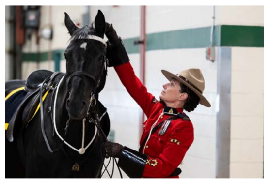 rcmpgrcpolice's tweet photo. The RCMP has signed the #30Forward pledge, joining a national effort to recruit, retain, and advance women in policing. During GBA Plus Awareness Week, we reaffirm our commitment to inclusion and leadership. https://t.co/dajn4ruhsp