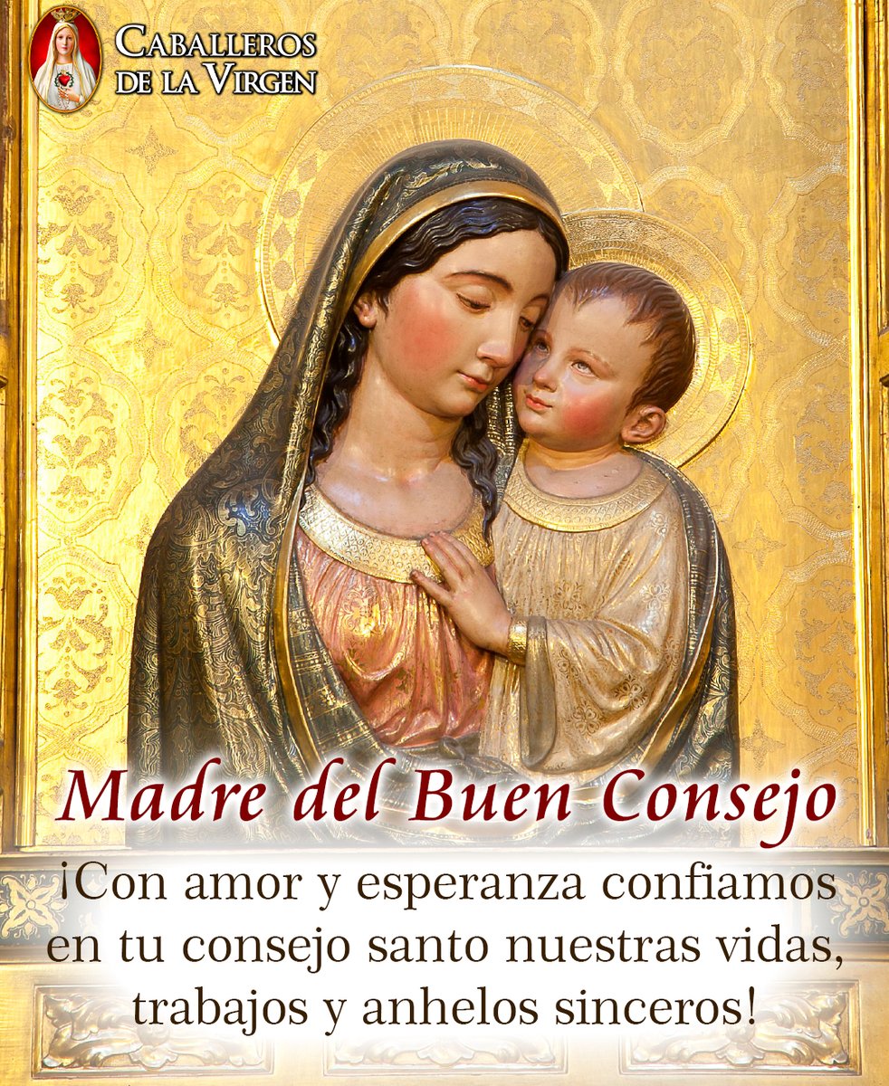 Caballeros de la Virgen tweet media