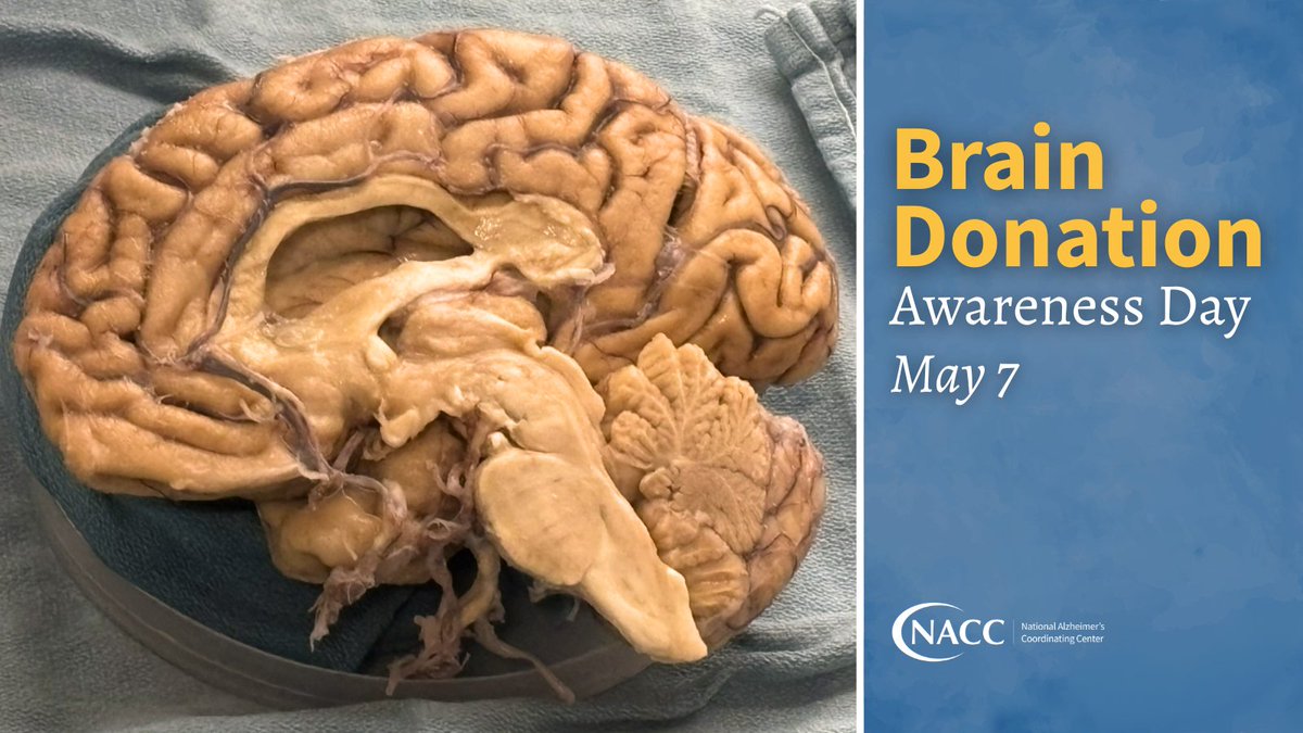 National Alzheimer's Coordinating Center (NACC) tweet media