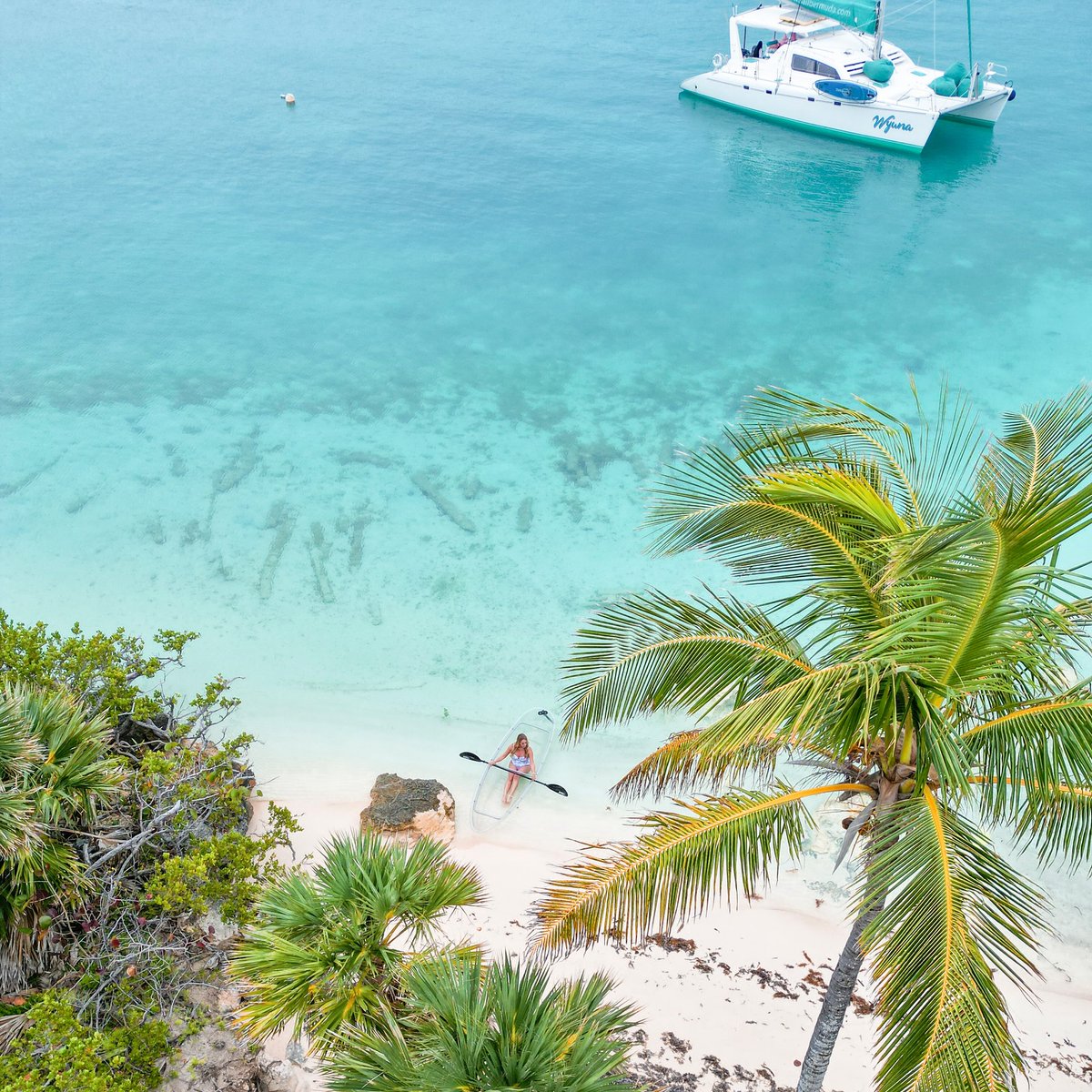 Bermuda tweet media