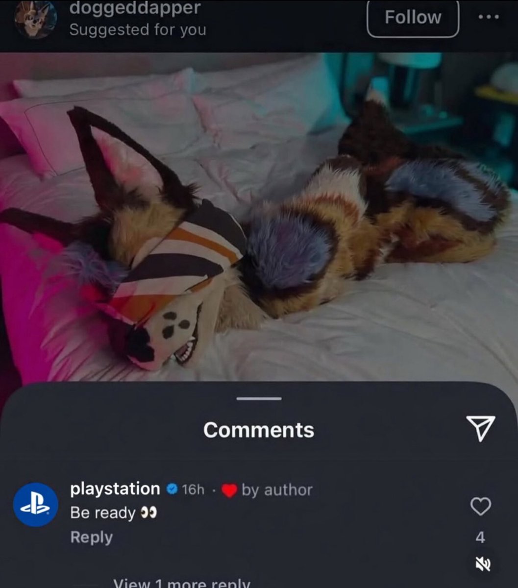 sackboy daily tweet media