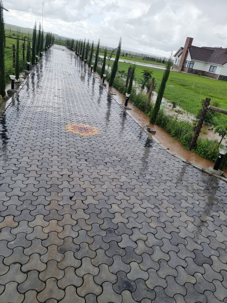 Precoconcrete's tweet photo. 🌧️ Rainy season doesn’t  mean muddy driveways! Transform your compound with our Grey Trihex design, blended with bold yellow &amp; red accents . And the best part, Our special May discount campaign is still running — making it more affordable than ever to transform your compound. https://t.co/SnOsTvRvVj
