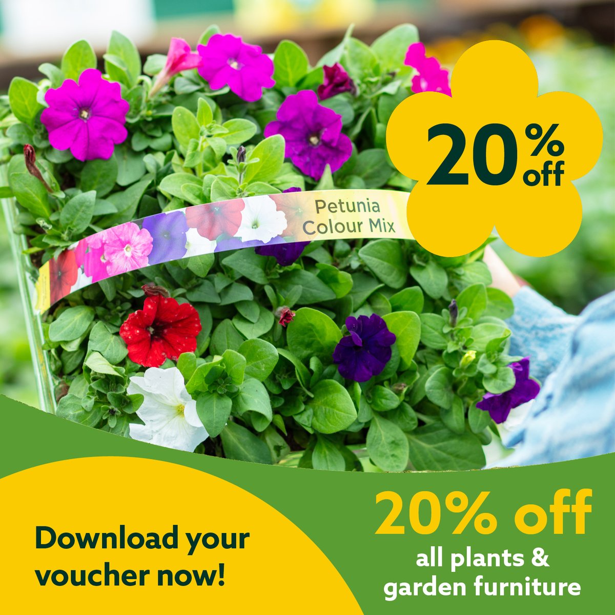 Dobbies tweet media