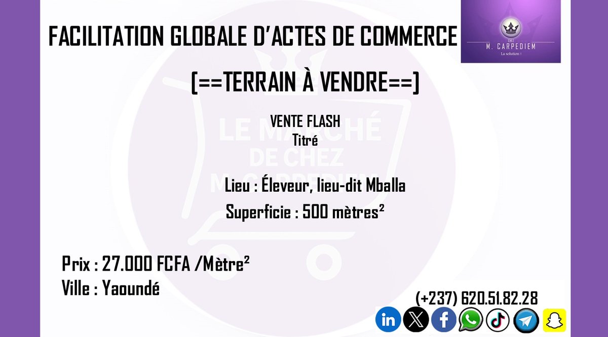 CarpediemChez's tweet photo. https://t.co/LsAKqlvCyc
