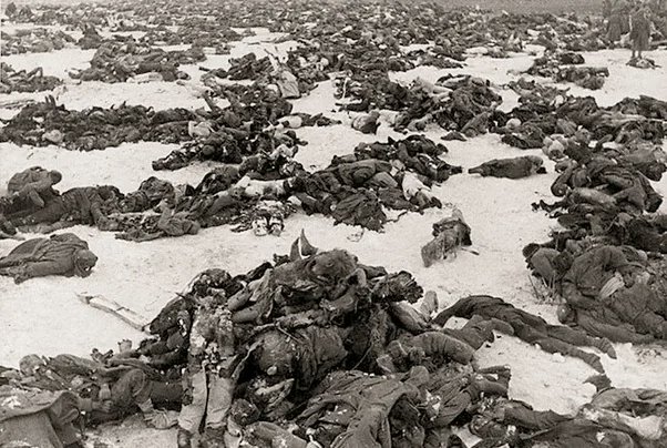 Endless piles of dead Germans as far as the eyes can see near Stalingrad , Southern Russia . 1943