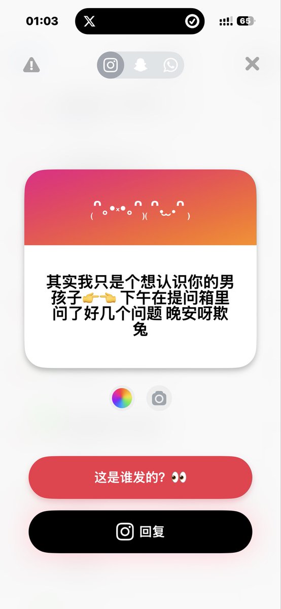 欺负一只兔子 tweet media