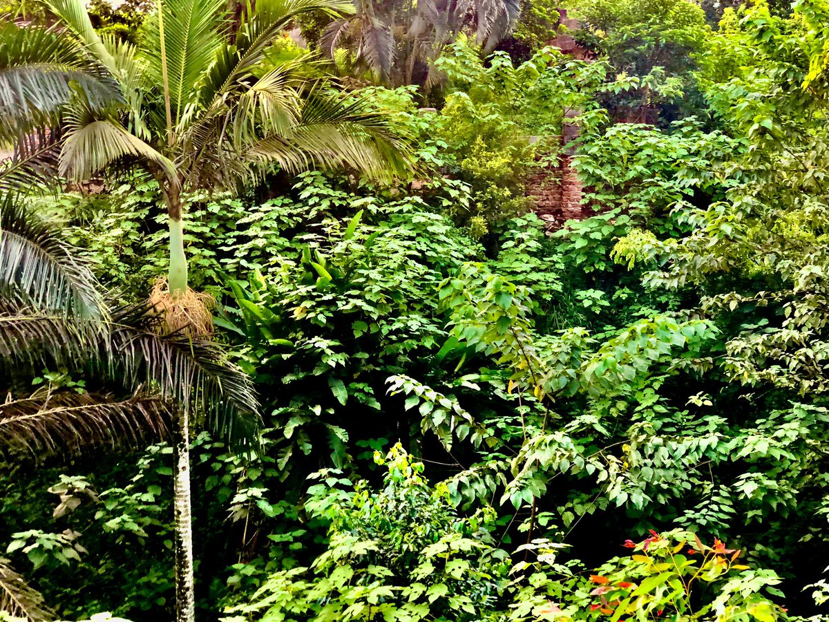 Versigntech's tweet photo. Forests thrive. Oceans endure. 🌍
Versign Enterprises digitizes nature, verifies carbon, and scales impact — embedding COP31 priorities into every credit.

Hashtags:
#COP31 #ClimateTech #CarbonMarkets #Sustainability #VersignEnterprises #LimitlessImpact https://t.co/J25ZeDDY6k