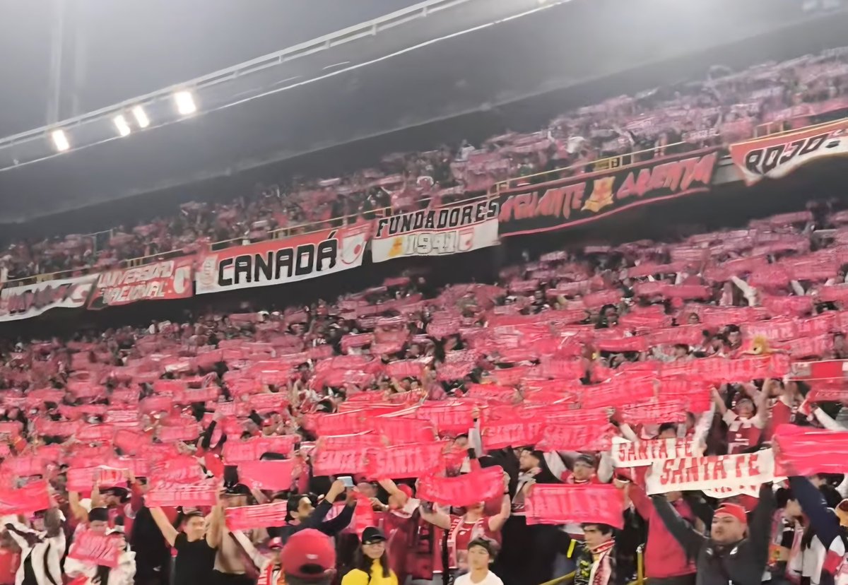 🇨🇦 Canadá del León 🦁🇮🇩 tweet media