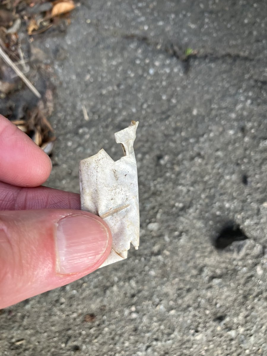 _pickuplitter's tweet photo. @_pickuplitter on duty ✅
Saw, picked, binned. The last four day’s picks: it makes a difference. @KSBScotland  #WashYourHands                  @CleanUpScotland  @ZeroWasteScot @PlasticPollutes @Plasticsimpact https://t.co/t9Otw6qYLr