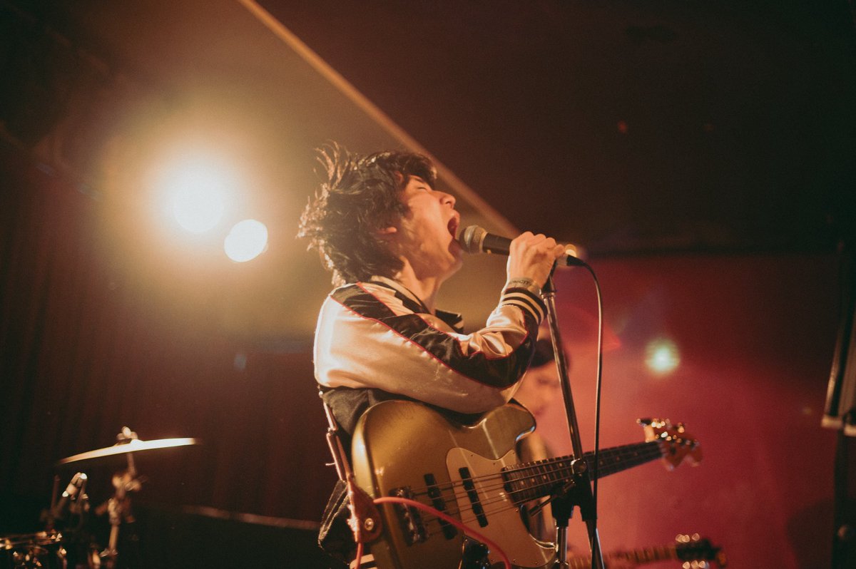 DOGO (@dogodelic) / Posts / X