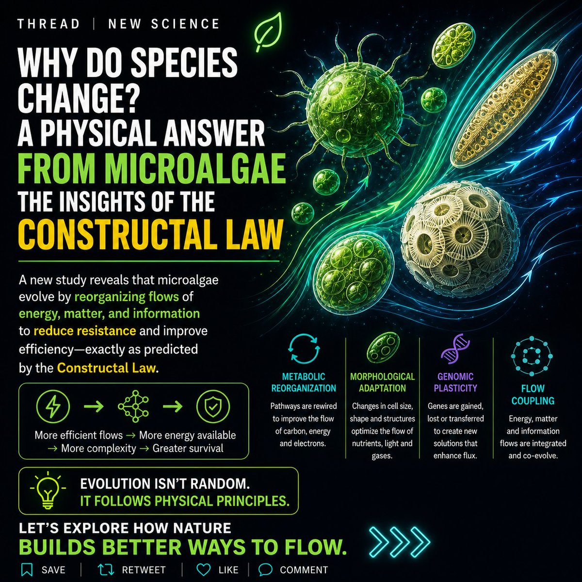 andrebmariano's tweet photo. 🚨 Can a Physics Law explain Evolution better than Darwin alone?

UFPR researchers just published a bold new interpretation of species variability and adaptation in microalgae using the Constructal Law.

This could reshape how we understand biological evolution.

@UFPR 🇧🇷 https://t.co/bKz9hVlRqR