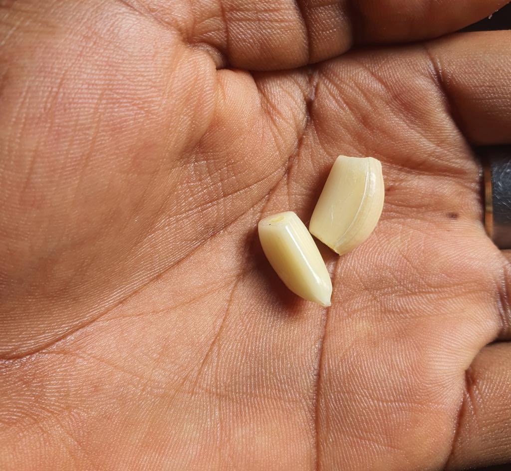 Simple Solution for Premature Ejaculation and Weak Erection.

-Check Thread-👇
