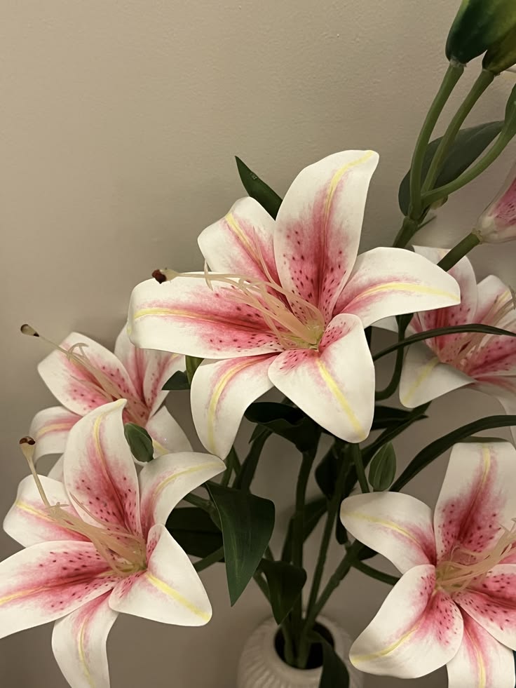 Soft Petals tweet media