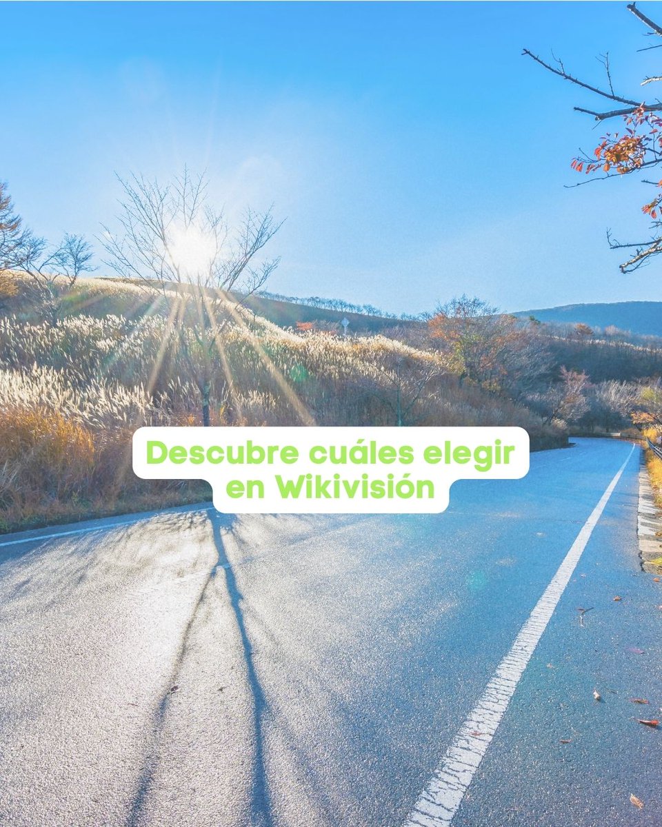 VisionWiki's tweet photo. Conducir con el sol de frente no es solo incómodo… puede ser peligroso 🚗☀️

El deslumbramiento reduce la visibilidad, afecta al contraste y puede hacer que veas peor o no veas señales, peatones o vehículos.

💡 No todas las gafas de sol sirven para conducir: https://t.co/EcmjYUmjpP