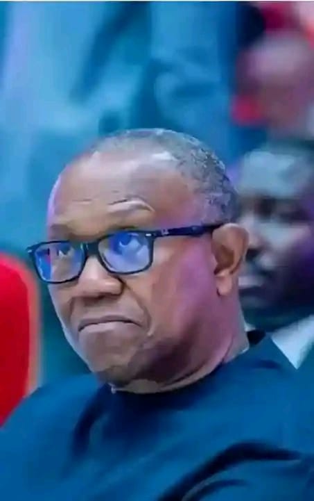 Oseloka H. Obaze (OHO) tweet media