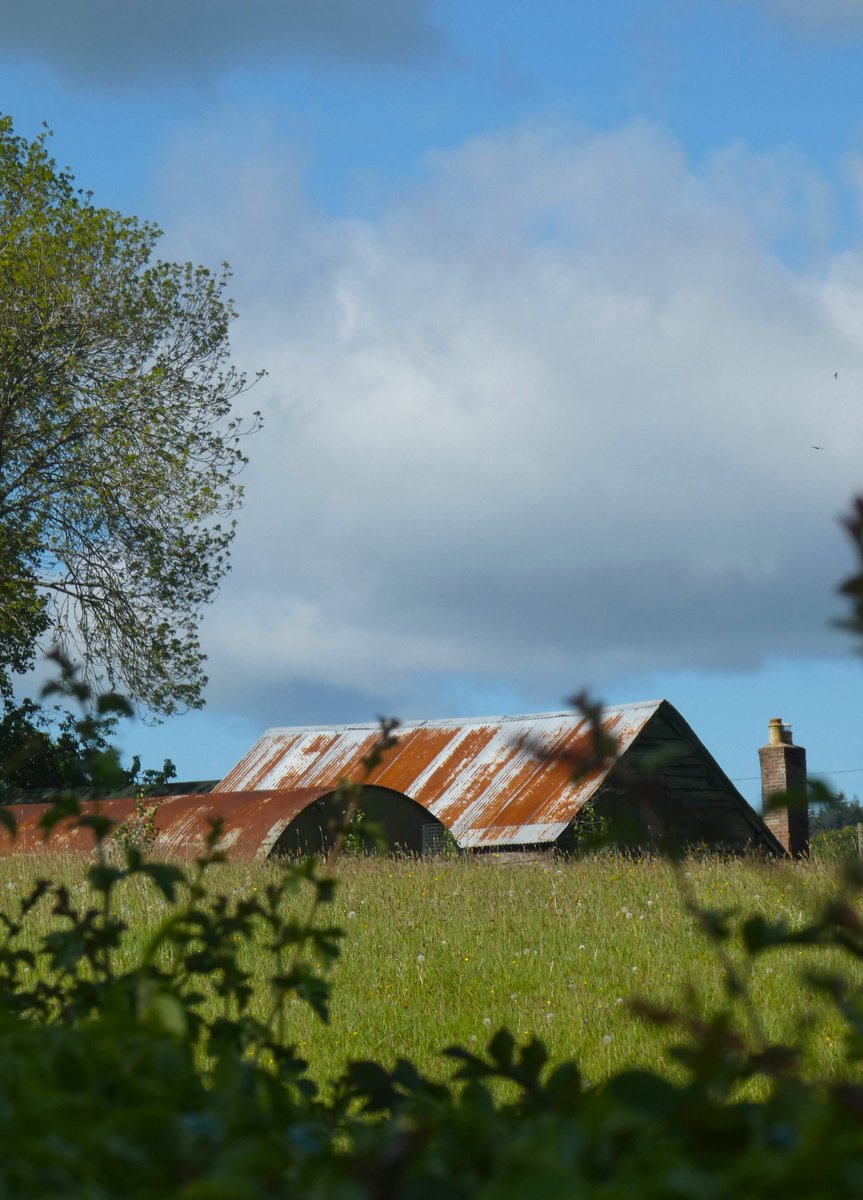 Sitehutseamstr1's tweet photo. Wandering in Shropshire - I just can't get enough of rusty corrugated iron.
#wildman #greenman #notallwhowanderarelost #ludlow #shropshire #salop #themarches #merrymonthofmay #intothegreen #may #vernaculararchitecture #architecture #corrugatediron https://t.co/8gnw7UrEHd