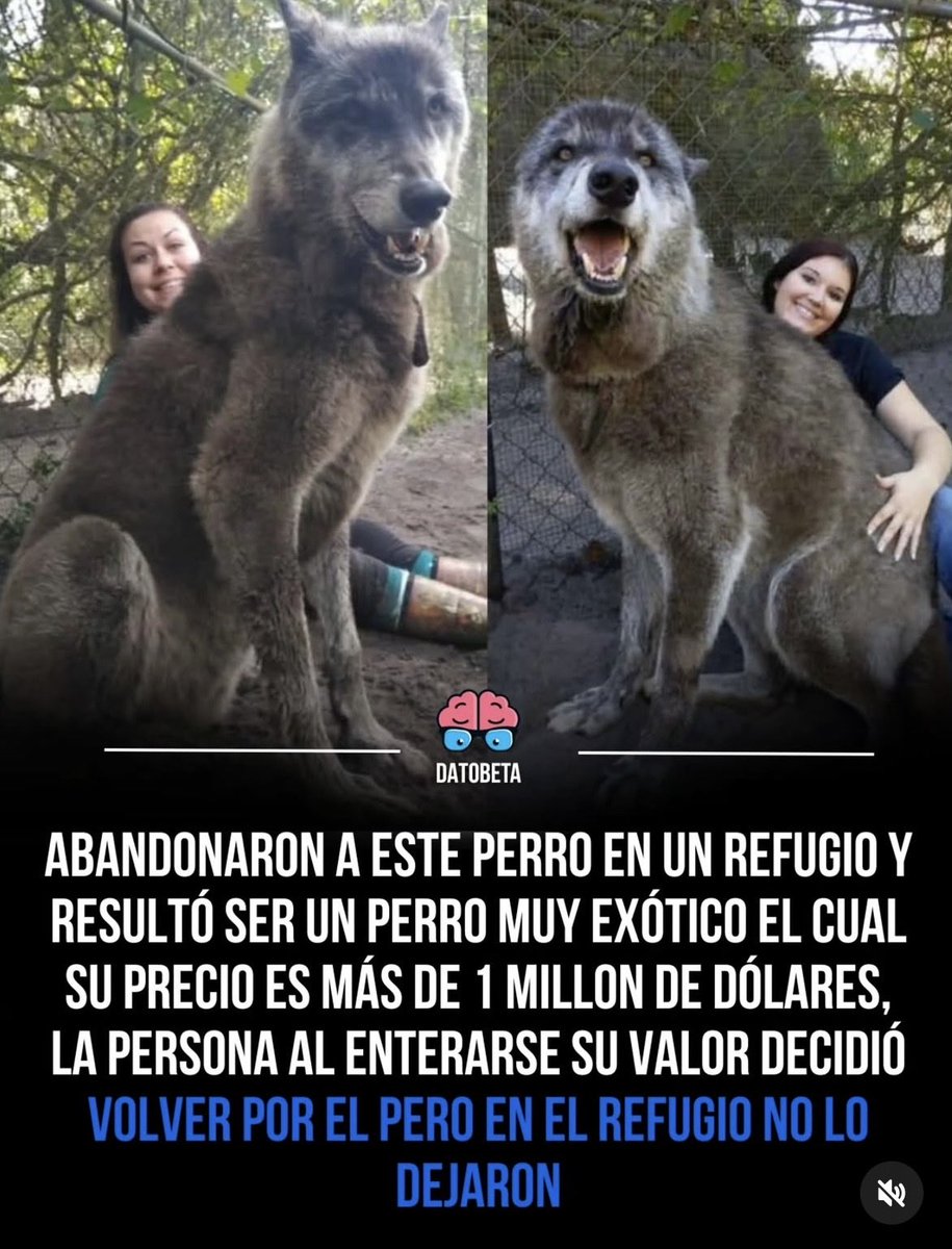 ¡¡ Q NO VUELVA JAMAS CON ESE MISERABLE Q LO ABANDONO POBRECITO 😢❤️❤️❤️❤️