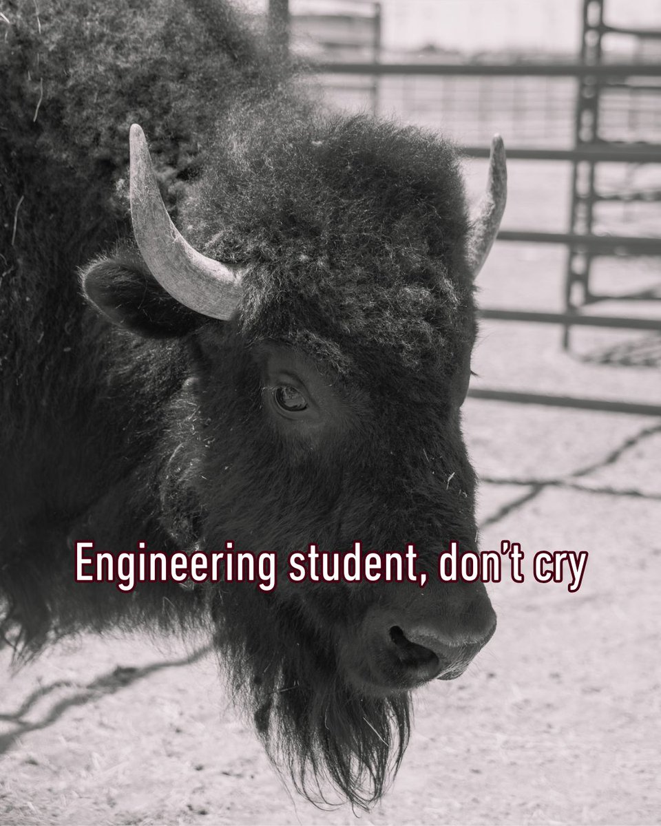 West Texas A&M University tweet media