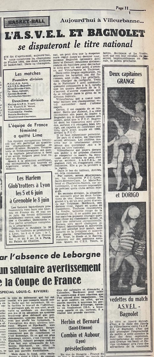 darluque tweet media