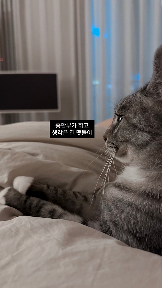 정지음 tweet media