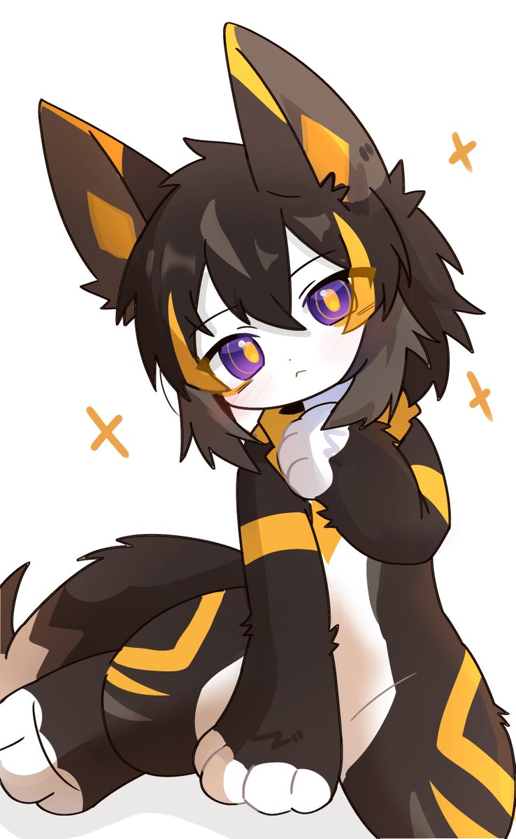 ✨RITRA✨ tweet media