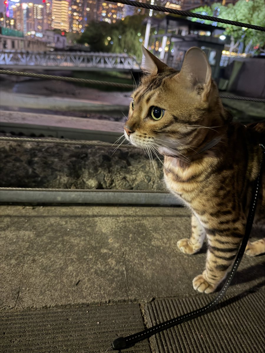 陈一发儿 tweet media