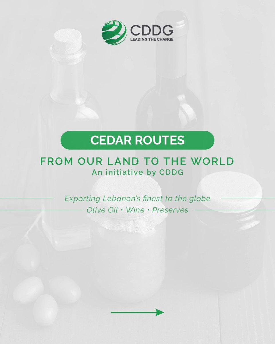 CDDG- Lebanese NGO tweet media