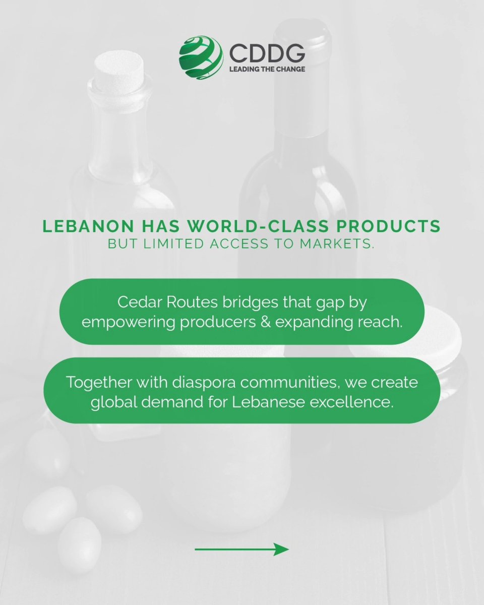 CDDG- Lebanese NGO tweet media